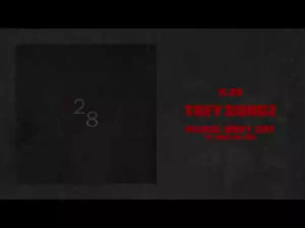 Trey Songz - Please Don’t Cry (feat. Rich Da Kid)